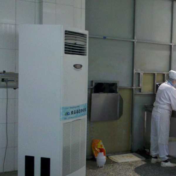 丰台食品正负离子空气杀菌器